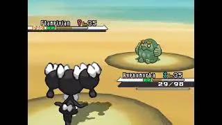 Pok&eacute;mon Black Version (German) - Catching Darmanitan
