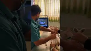 cute patient 🐱🐱