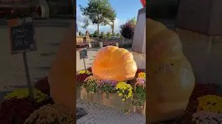 #music #remix #good #best #amazing #art #pumpkin #big #gross #deutsch #nice #like #live #beautiful