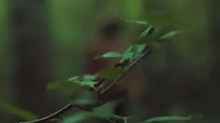 kreger - Pure [prod. NetuH]