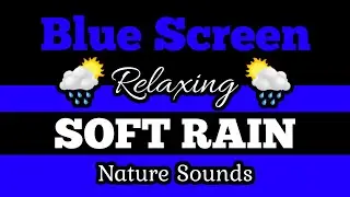 🟦BLUE SCREEN 🌦️SOFT RAIN 🌲Soothing Nature Sounds