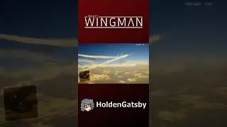 Project Wingman | Holden's Impressions