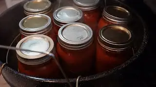 Canning Last Year's Tomatoes (Frozen) | Making Tomato Sauce & Canning it | Ball Blue Book