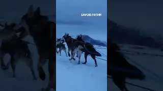 17/01/2024 - Savoie News - &Eacute;tape 4 de la Grande Odyss&eacute;e VVF 2024 &agrave; La Toussuire