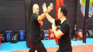 Mantis Boxing (Kung Fu) at Phoenix Combat Sports