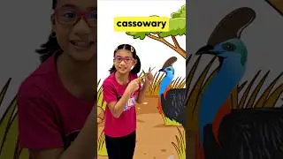 🐧Flightless Birds | Science Lesson #CeeTVKids #LearnAndPlay