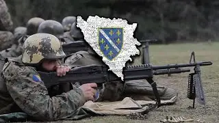 ⚜️ Od Une do Drine, od Mora do Save // (Bosnian patriotic song) ⚜️