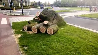 Stormschade 28 oktober