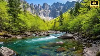 Foggy Highland Stream 🌫️ Ethereal Water Sounds for Deep Dreaming & Mystery [4K]