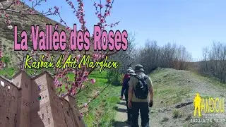 Randonnée dans la vallée des Roses 🌹une visite de la kasbah d'Ait Marghen 🏚️ #rosesvallee #andou