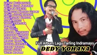 Wong Edan Anyaran | Curut Kecemplung || DEDY YOHANA || MAESTRO TARLING INDRAYU