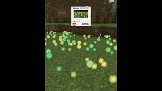 Level in Minecraft 🤯❤️ #shorts