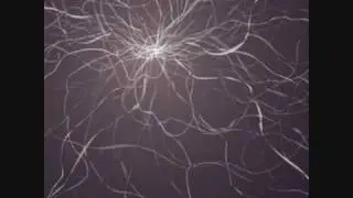 Exivious - Waves of Thought