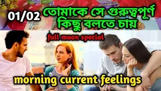 তোমাকে সে গুরুত্বপূর্ণ কিছু বলতে চায়😍Morning Thought feelings tarot Current feeling energy today 