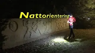 Nattorientering i Lund 2018