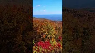 Blowing Rock Blue Ridge Parkway: 2023 Fall Foliage