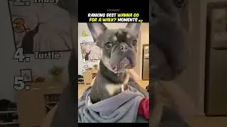 Ranking Best Wanna Go For A Walk Moments 2