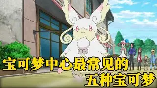 宝可梦中心最常见的五种精灵，爱管侍最热门，但只有它能超进化