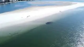 A long flight over Caloundra Beaches and the bay