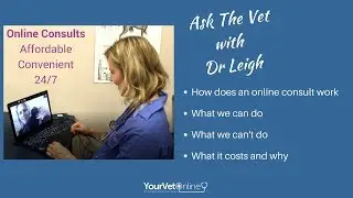 How To Use An Online Vet with Your Vet Online