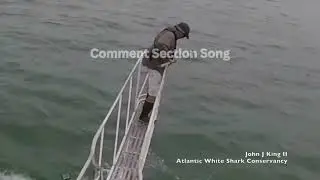 Shark Attacks Man on Boat - Jaws Comment Song