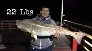 Epic Bull Red Run..!  (BEST TIMING EVER!)