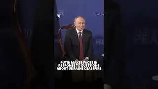 Putin makes face when asked if he will agree to a Ukraine ceasefire and stop killing civilians