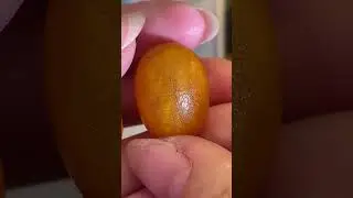 眼緣坊 天然 西亞回流老蠟 老蜜蠟V.S 微烤蜜蠟 差別？？