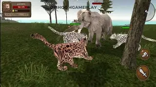 Ultimate Leopard Simulator - Leopard Vs Lion, Tiger, Hyena, Jaguar, Cheetah, Monkey, Crocodile #10