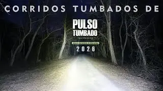 Transmisión en vivo de PULSO TUMBADO • Música Corridos Tumbados