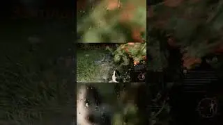 Одна базарит, другой нюхает...  #montage #gaming #funny #am #activematter