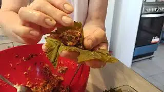 sarmale  Dolma dolmadakia  gef&uuml;llte Weinbl&auml;tter.   stuffed grape leaves