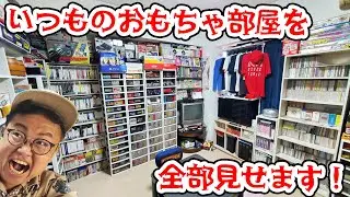 いつものおもちゃ部屋をただただ無言で全部見せていくだけの動画