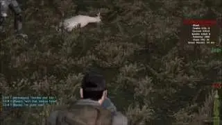 DayZ - Catnapped