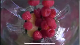 Complete - Vegan Plant Protein Powder