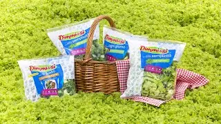 La Linea Verde DimmidiSì Vidéo: Production des salades en sachet