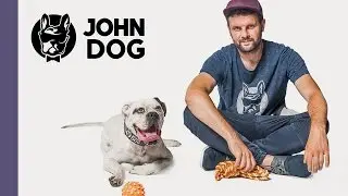 Jak wypracować zabawkę dla psa - TRENING PSA - John Dog