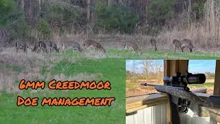 6 mm Creedmoor Doe Management