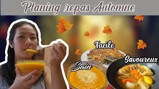 Vlog Automne : Plats Chauds et Gourmands pour Affronter la Chute des Températures, potager hiver