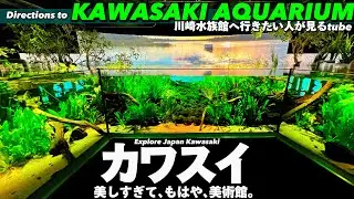 🐟【4K.川崎水族館】ビルの中にある淡水魚水族館カワスイへの行き方をご案内【アクセス|川崎駅】Directions to Kawasaki Aquarium. Japan Travel