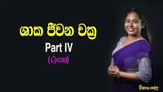 ශාක ජීවන චක්‍ර | Shaaka Jeewanachakra | Plant life cycles | Episode 04 | Cycas | Thenu miss