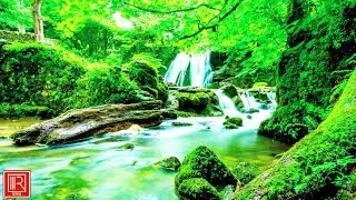 relaxing rusic  / relaxing music for stress relief / relaxing music sleep