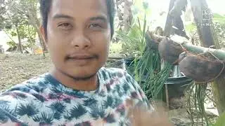 May kolection flowers(galeng sa gobat)