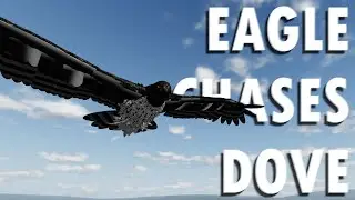 Martial Eagle Hunts Dove for Five Minutes Straight - Wild Savanna