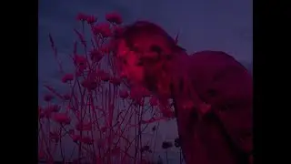Jaakko Eino Kalevi - People in the Centre of the City (Official Video)