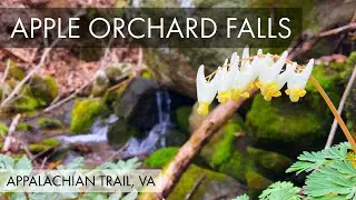 Apple Orchard Falls – Thunder Hill Shelter – FAA Radar Site – Appalachian Trail VA Hike