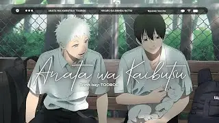[ENG/FR/VIETSUB] ANATA WA KAIBUTSU - OST Hikaru ga Shinda Natsu (光が死んだ夏) | TOOBOE