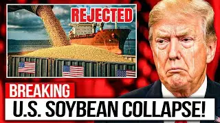 U S  Soybean Shipments Rejected Canada's Premium Soybean Lands Billion Dollar Deals