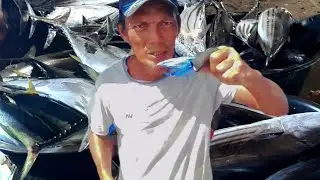 12OKL YELLOWFIN AND TUNA|DIY PAIN KO EFFECTIVE !