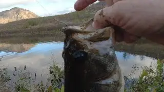 Rippin Lips perfect hook set